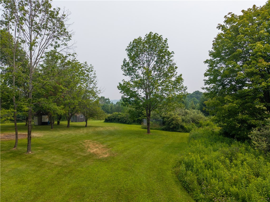 2571 Delude Road Dalton, NY 14836 - Photo 24 of 48