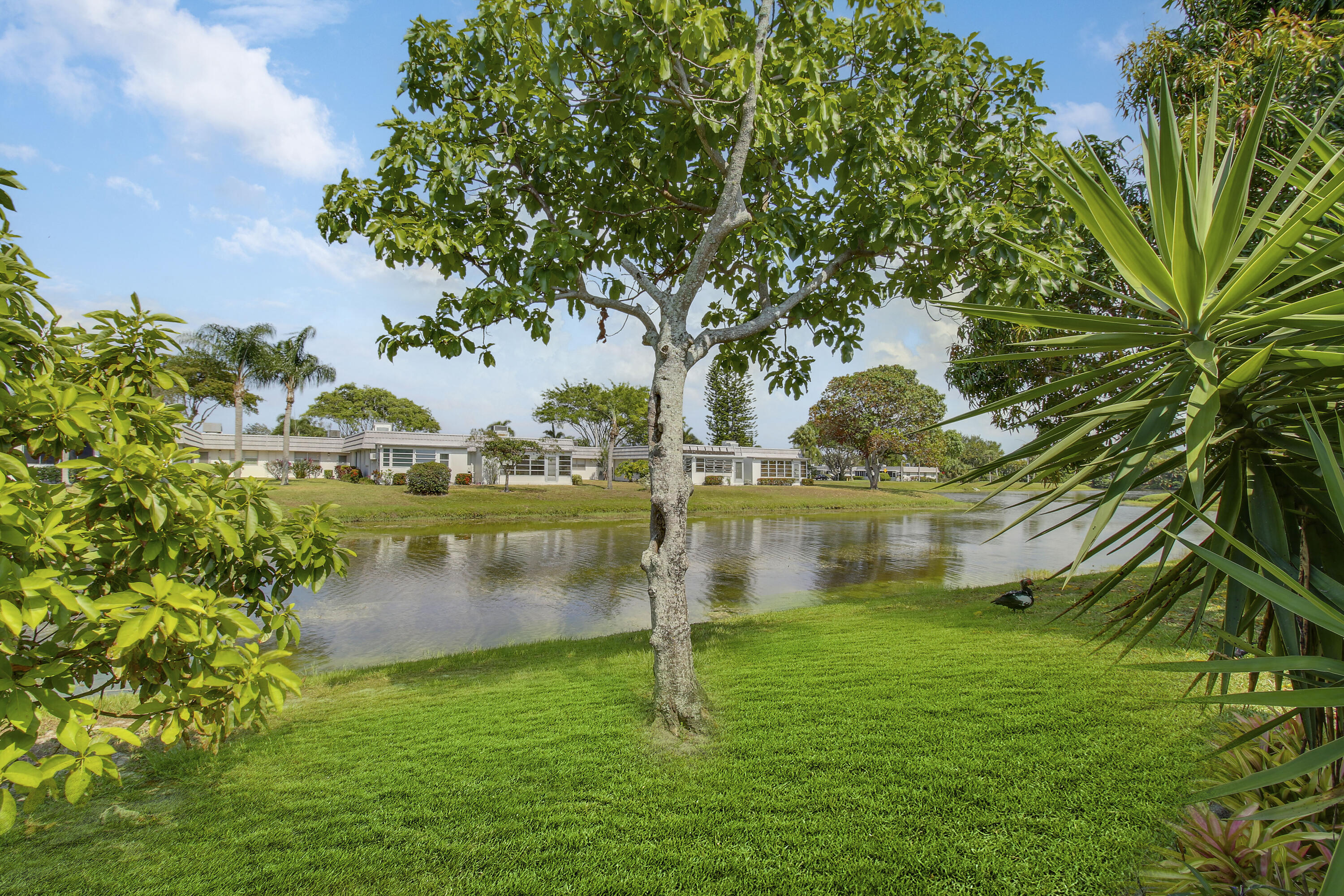 175 Valencia H Delray Beach, FL 33446 - Photo 19 of 19 House-15
