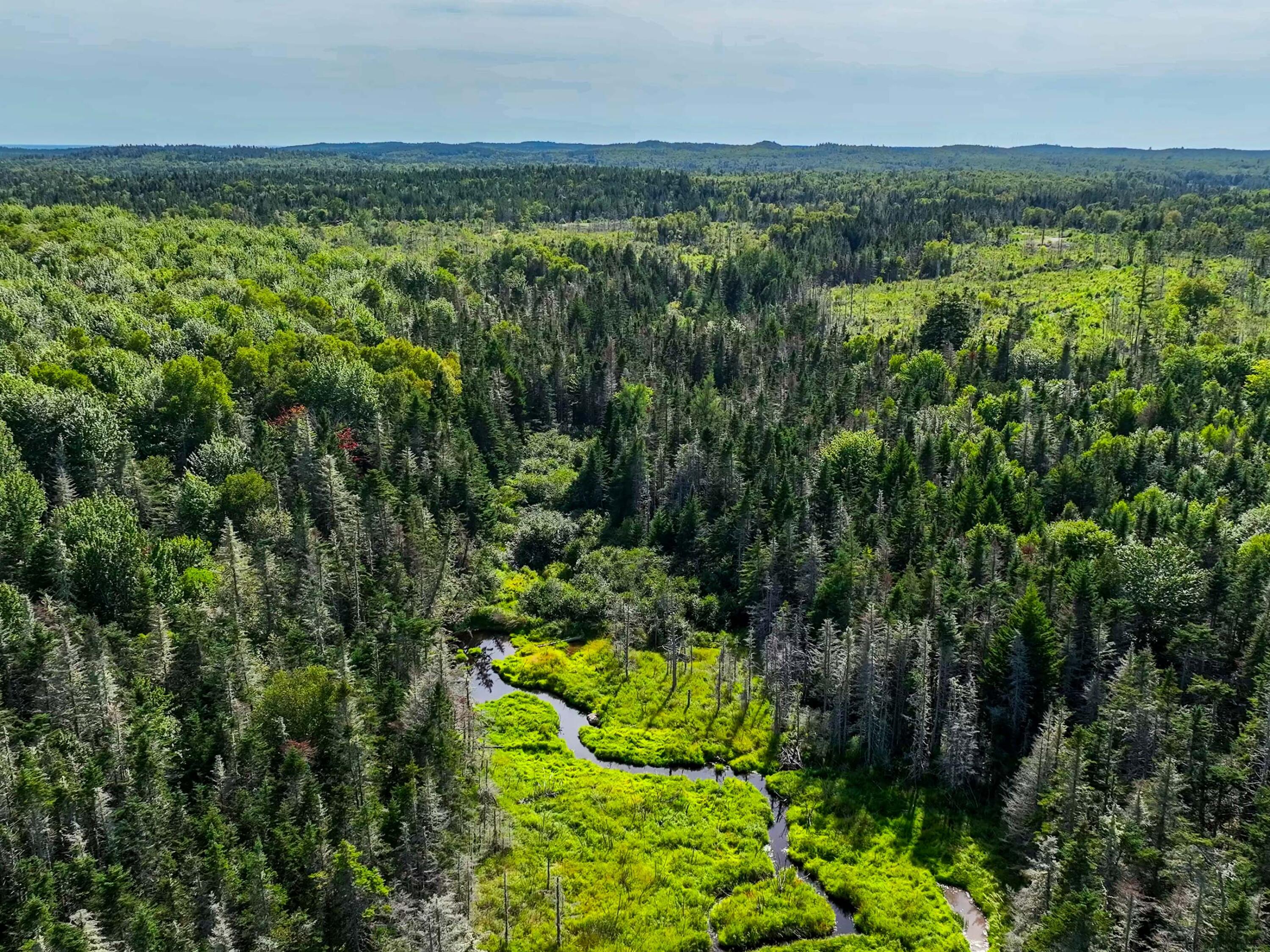 2 Map Lubec, ME 04652 - Photo 11 of 79 530+- acres Trescott Twp Maine (79 of 80