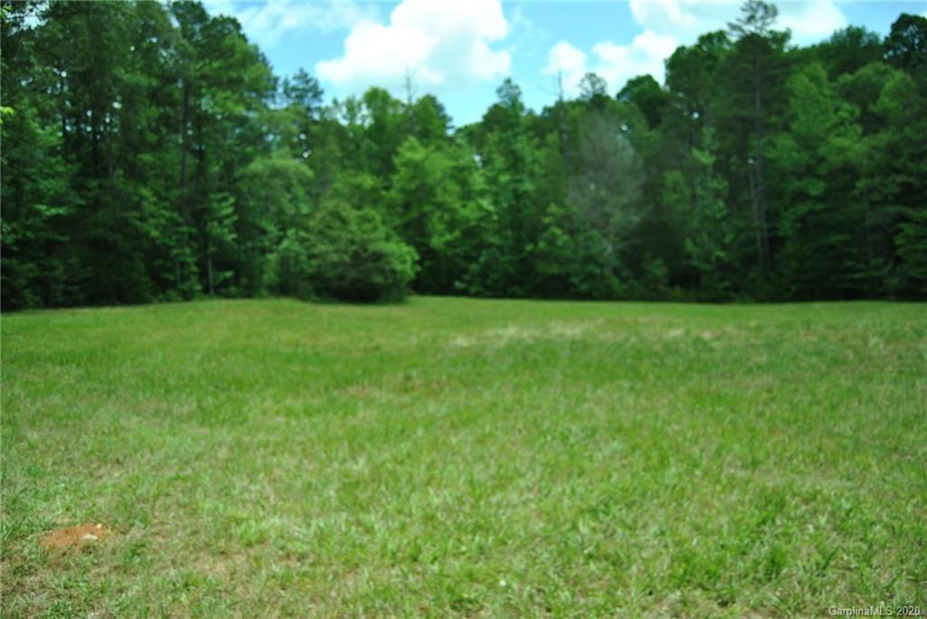 3502 Penshurst Road, Unit TRACT #11 Rock Hill, SC 29730 - Photo 5 of 10 a view of a green field with plants in the background