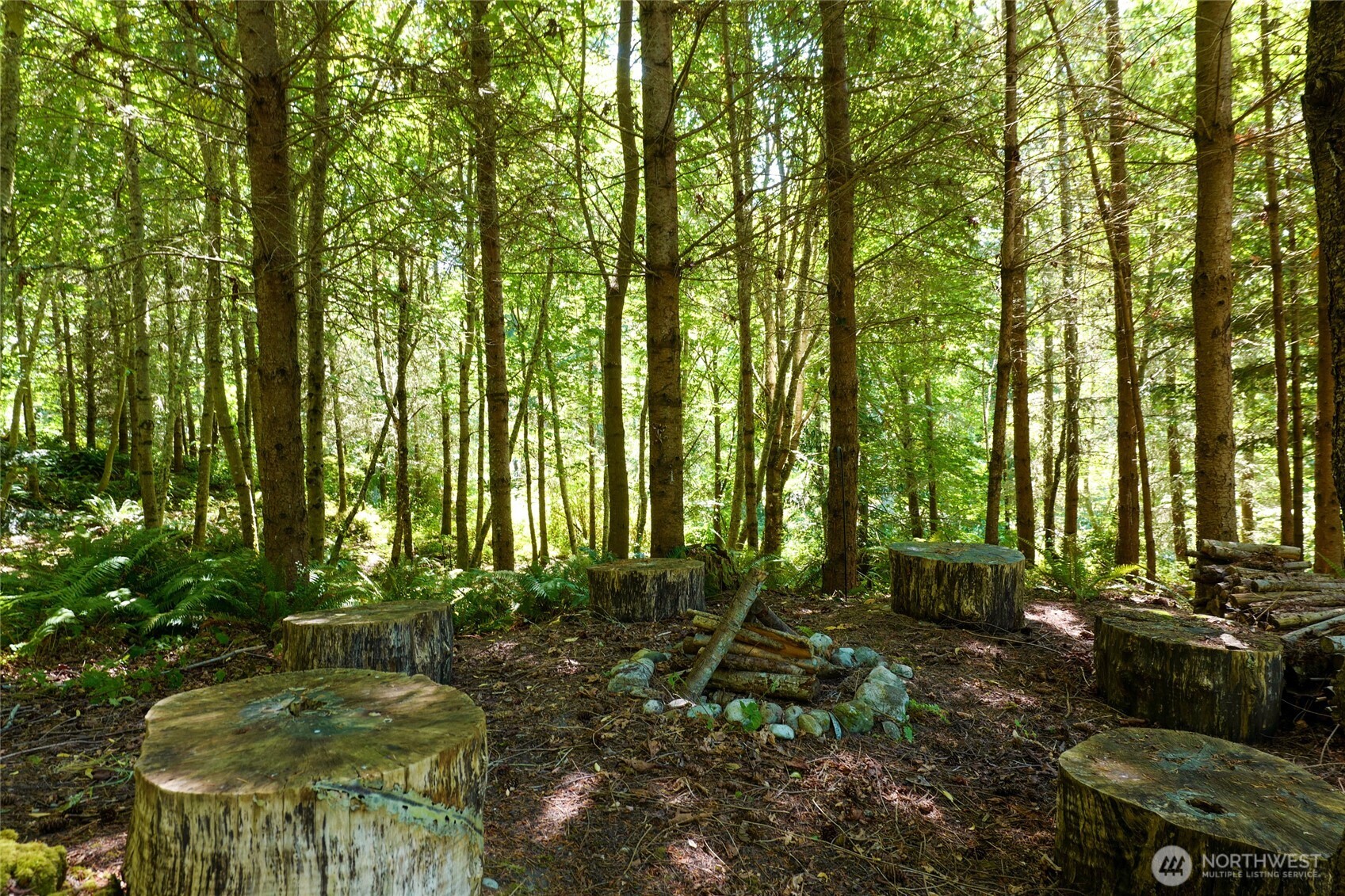 67 North Gilbertson Road Camano Island, WA 98282 - Photo 40 of 40 a view of outdoor space and yard