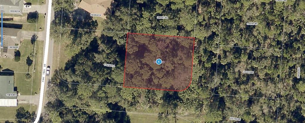 Pine Tree Drive Eustis, FL 32726 - Photo 1 of 1