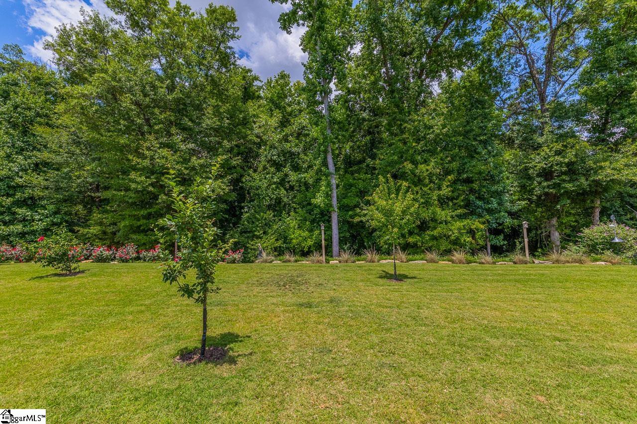 349 Elwin Lane Greer, SC 29651 - Photo 20 of 22 Gallery Image 20
