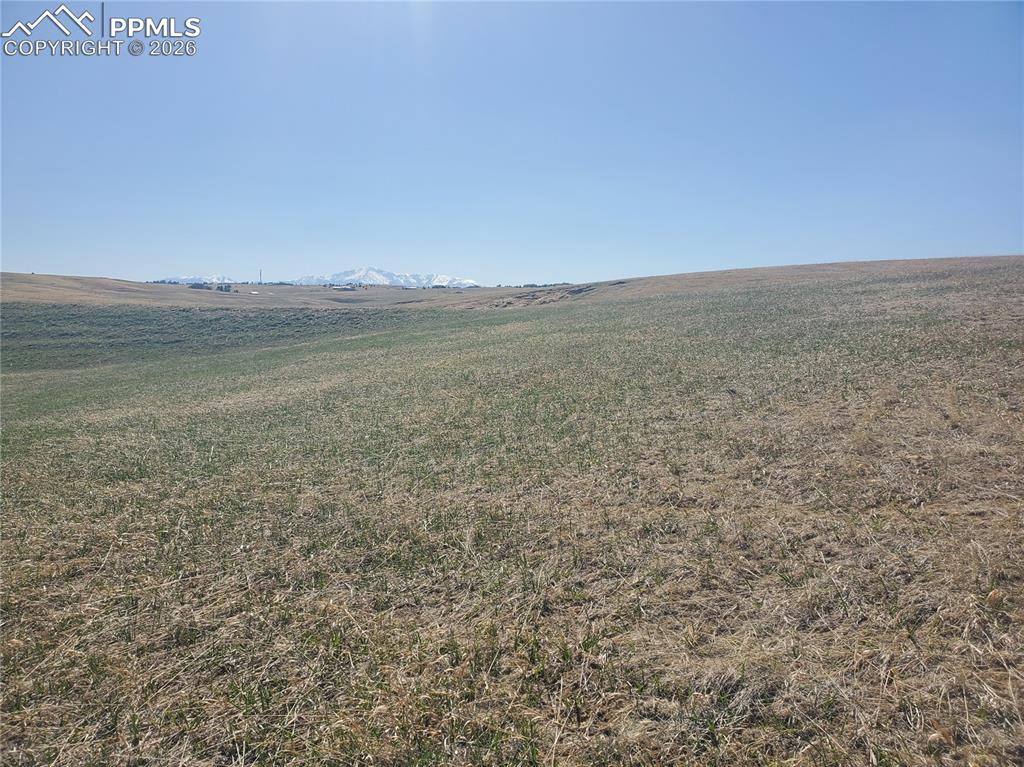 5565 Walker Road Colorado Springs, CO 80908 - Photo 18 of 28