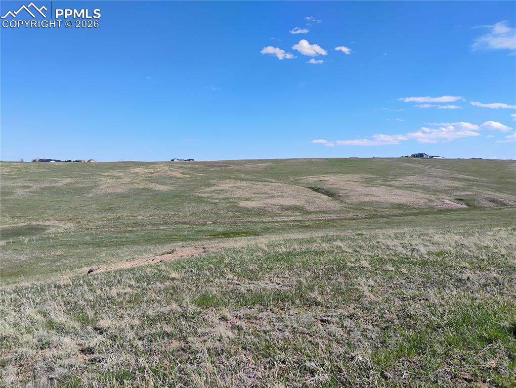 5565 Walker Road Colorado Springs, CO 80908 - Photo 9 of 28