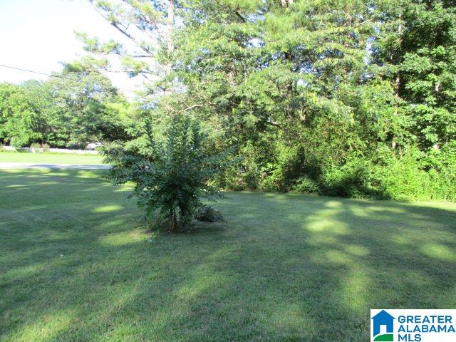 48659 Highway 231 Oneonta, AL 35121 - Photo 37 of 38