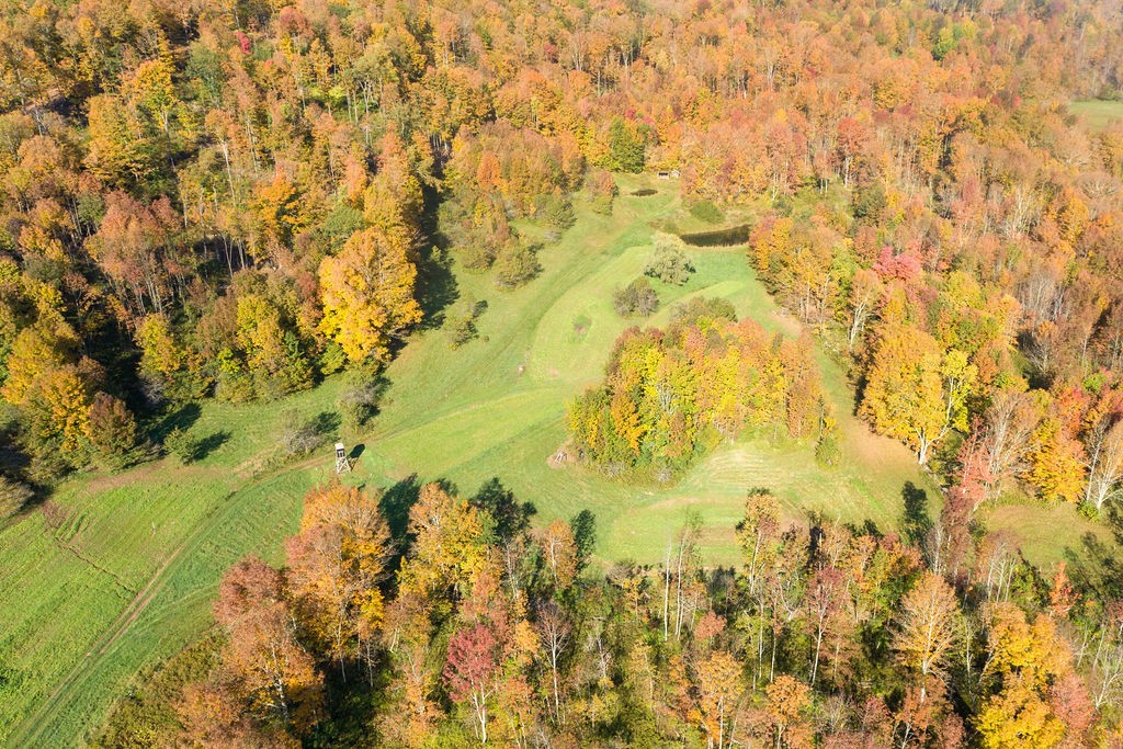 77 Carroll Hinkley Road Roxbury, NY 12474 - Photo 15 of 48