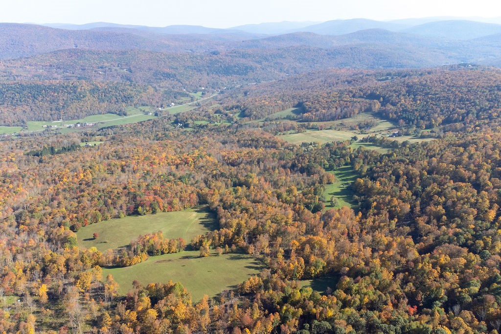 77 Carroll Hinkley Road Roxbury, NY 12474 - Photo 17 of 48