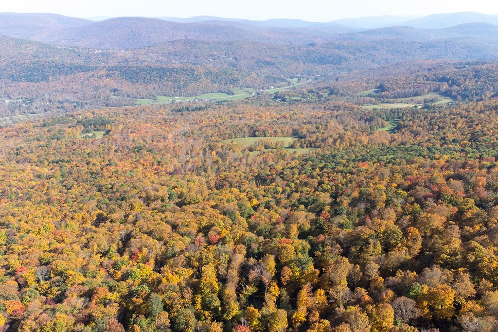 77 Carroll Hinkley Road Roxbury, NY 12474 - Photo 18 of 48