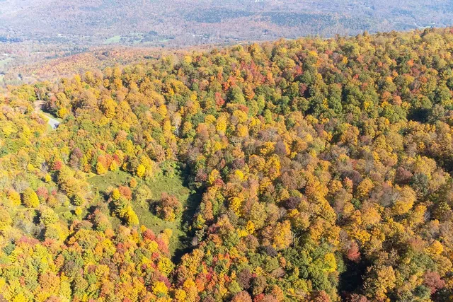 $1,800,000 | 77 Carroll Hinkley Road, Roxbury, NY 12474