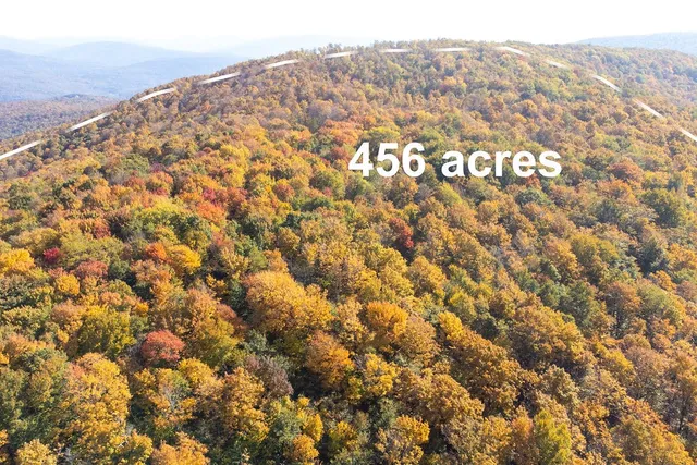 $1,800,000 | 77 Carroll Hinkley Road, Roxbury, NY 12474