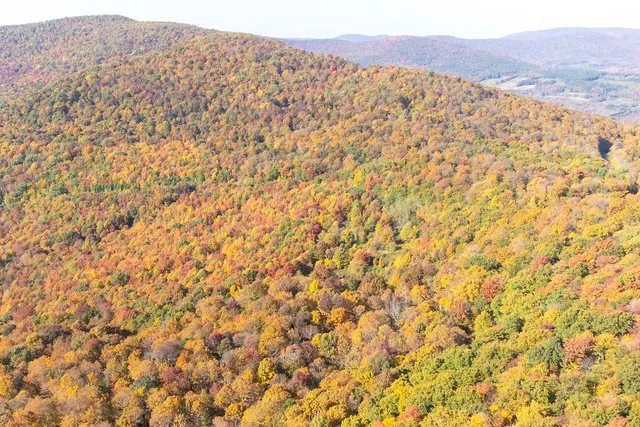 $1,800,000 | 77 Carroll Hinkley Road, Roxbury, NY 12474