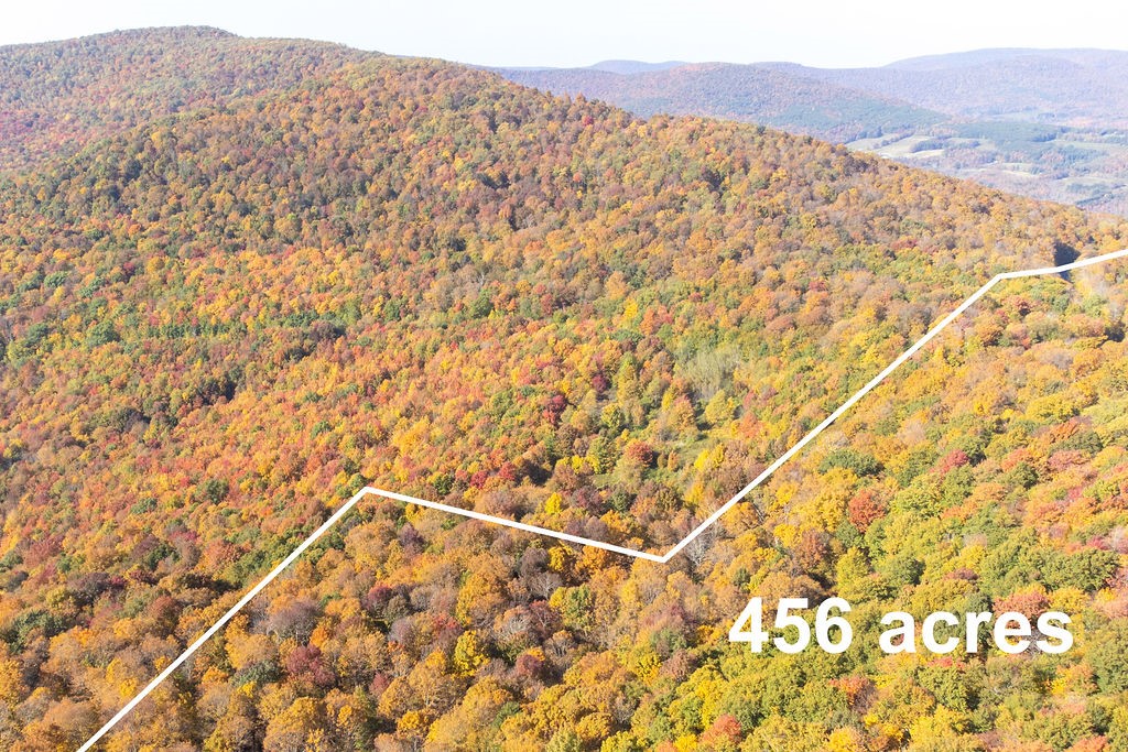 77 Carroll Hinkley Road Roxbury, NY 12474 - Photo 24 of 48