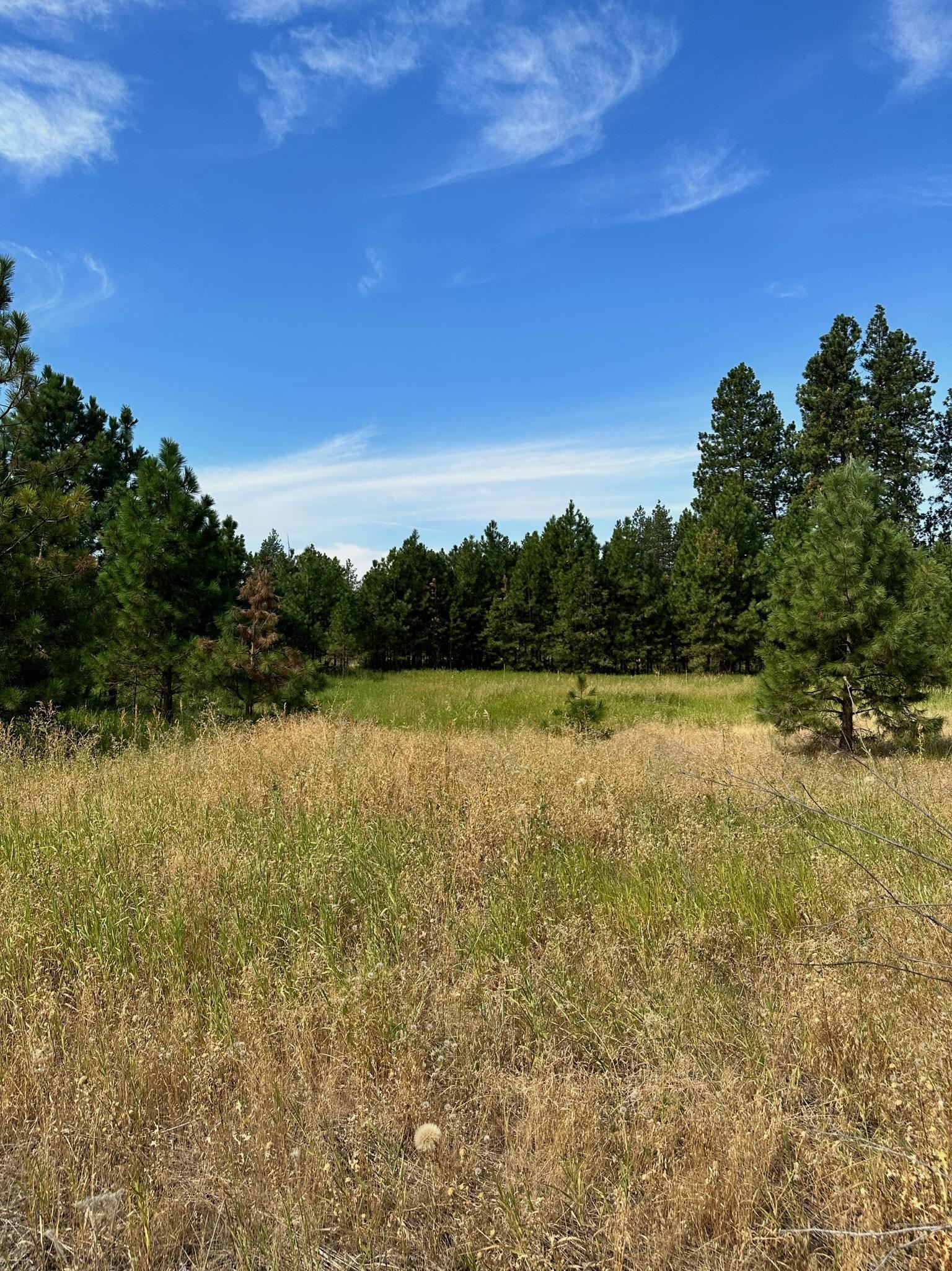 8100 West Greenwood Road Spokane, WA 99224 - Photo 1 of 47 Gallery Image 1