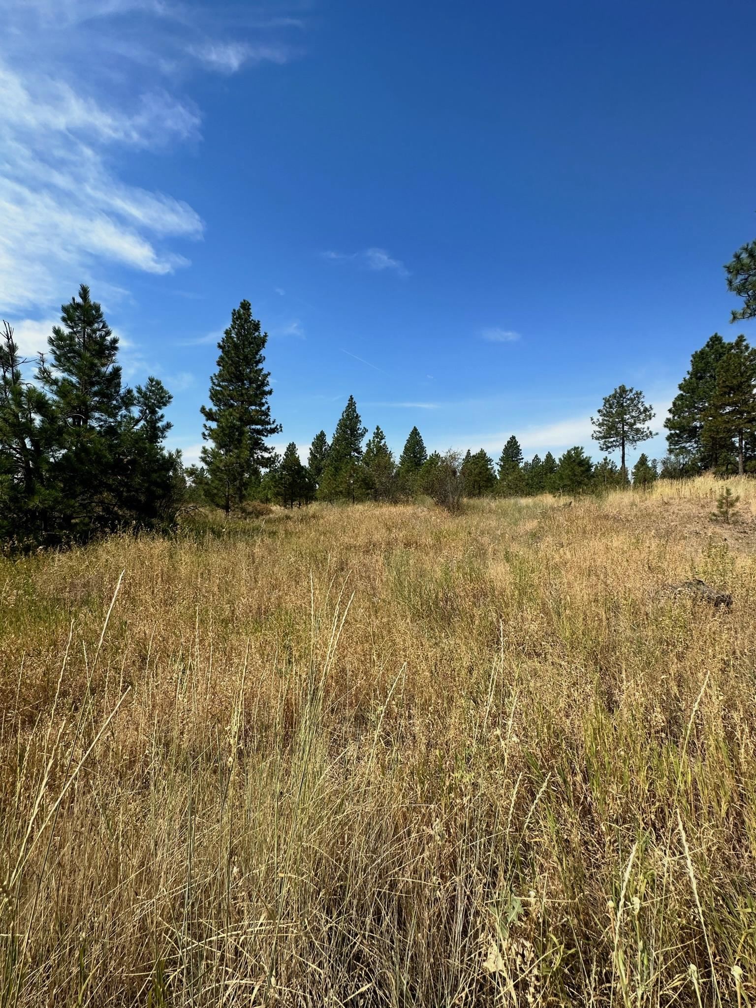 8100 West Greenwood Road Spokane, WA 99224 - Photo 31 of 47 Gallery Image 31