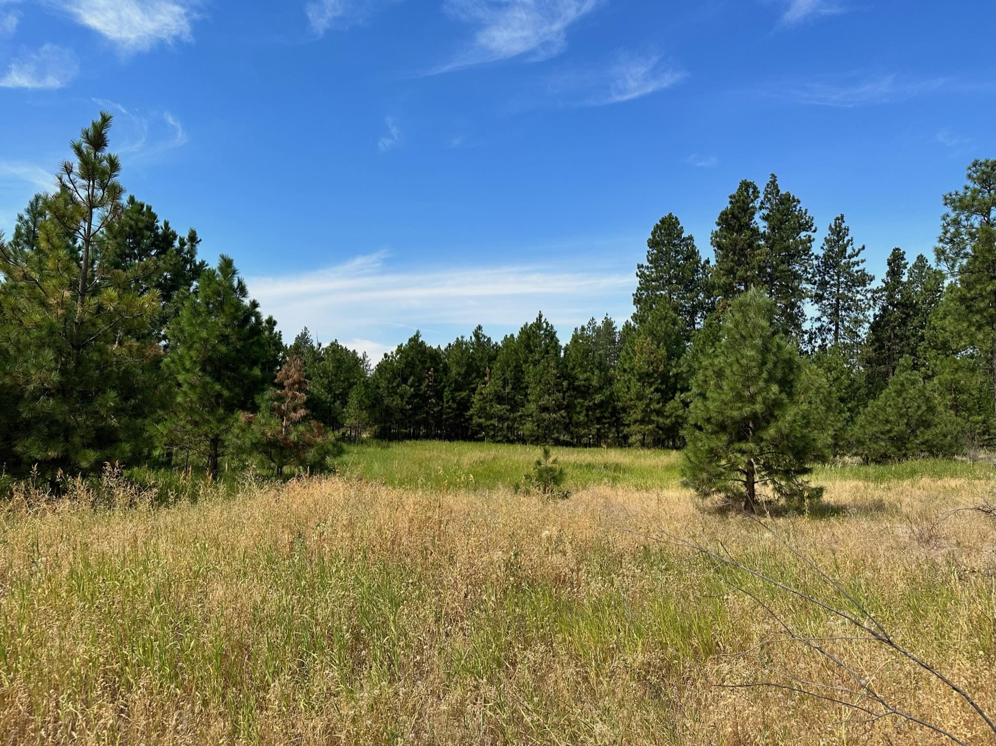 8100 West Greenwood Road Spokane, WA 99224 - Photo 32 of 47 Gallery Image 32