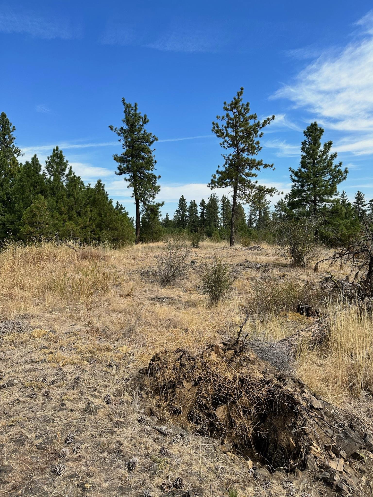 8100 West Greenwood Road Spokane, WA 99224 - Photo 36 of 47 Gallery Image 36