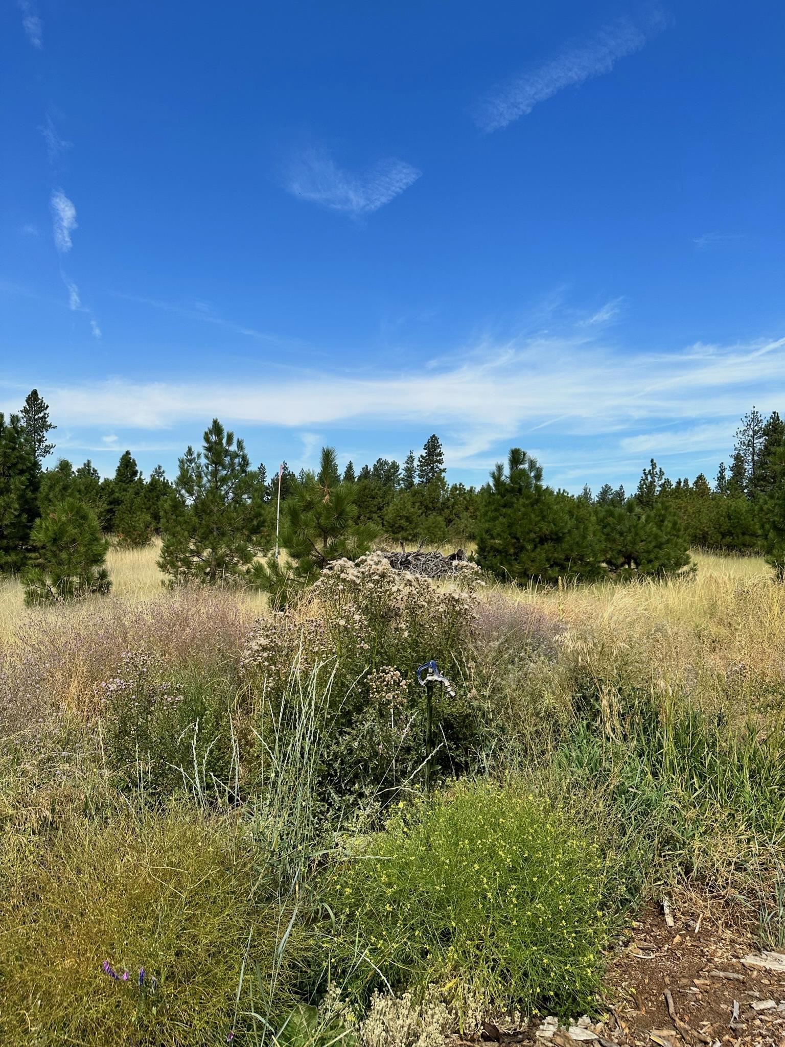 8100 West Greenwood Road Spokane, WA 99224 - Photo 40 of 47 Gallery Image 40