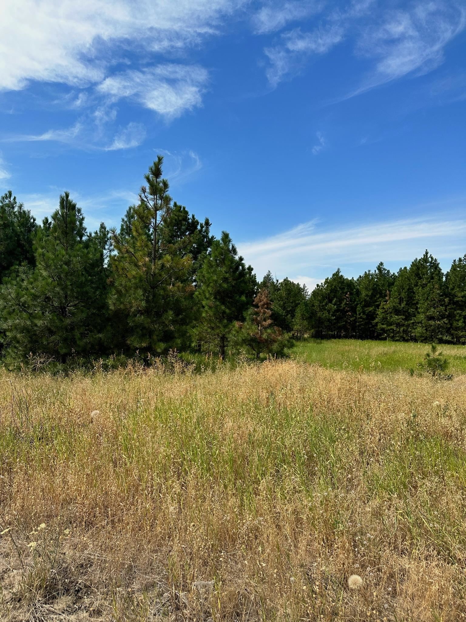 8100 West Greenwood Road Spokane, WA 99224 - Photo 46 of 47 Gallery Image 46