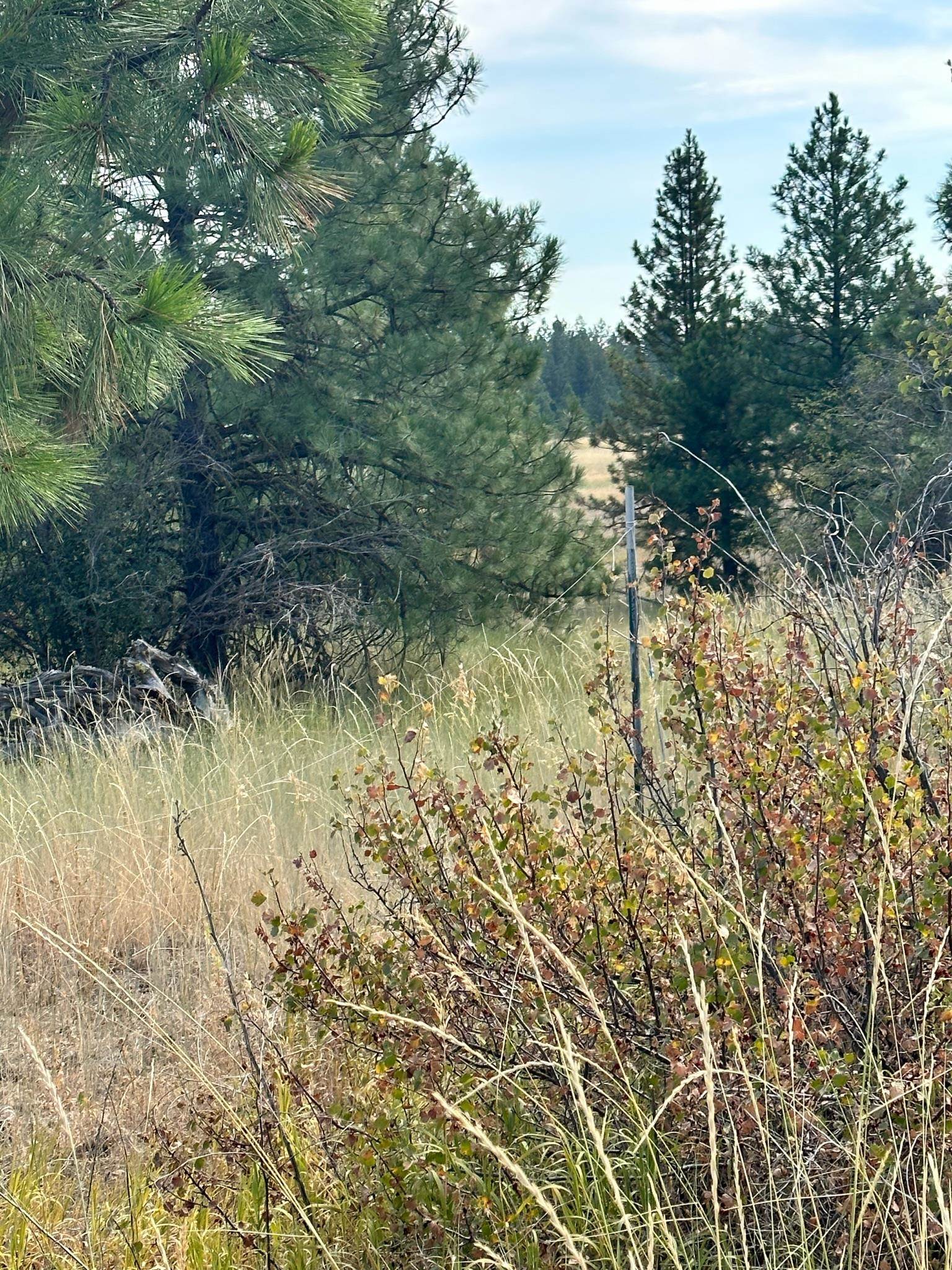 8100 West Greenwood Road Spokane, WA 99224 - Photo 5 of 47 Gallery Image 5