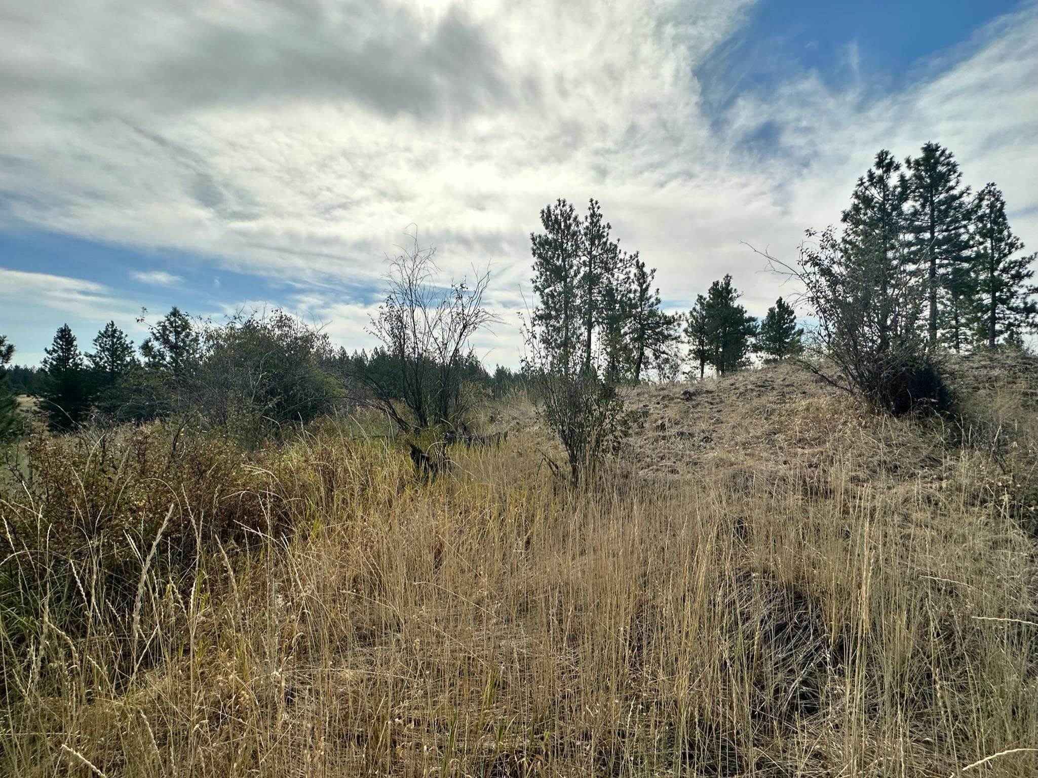 8100 West Greenwood Road Spokane, WA 99224 - Photo 8 of 47 Gallery Image 8