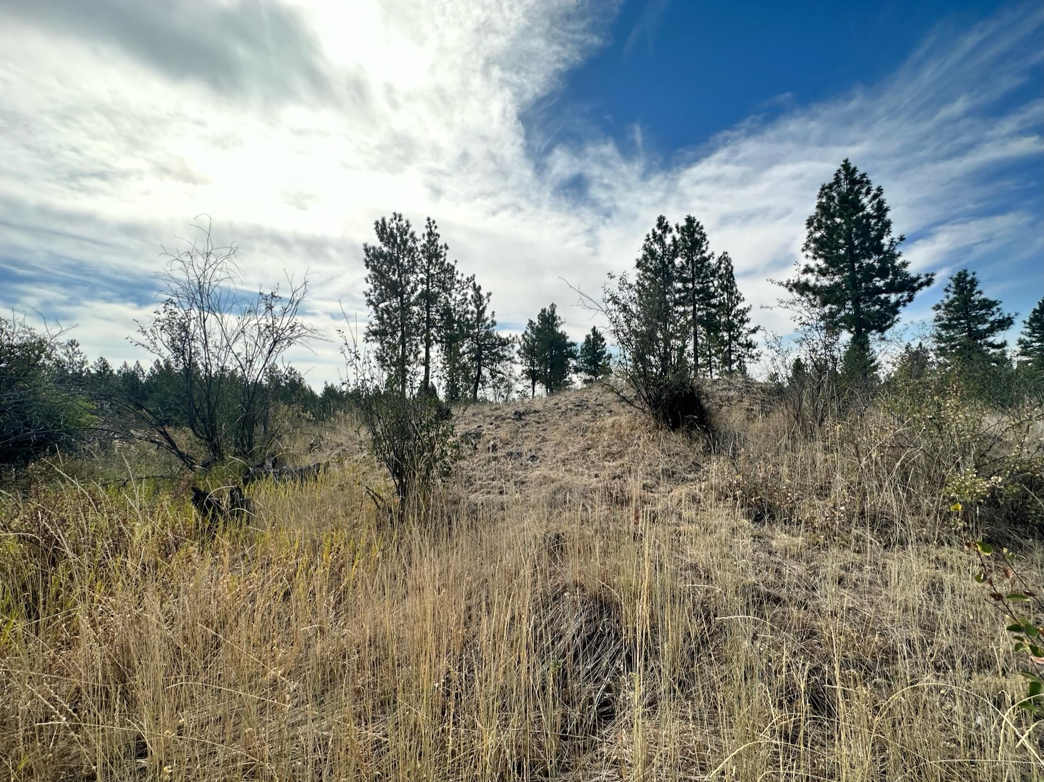 8100 West Greenwood Road Spokane, WA 99224 - Photo 9 of 47 Gallery Image 9