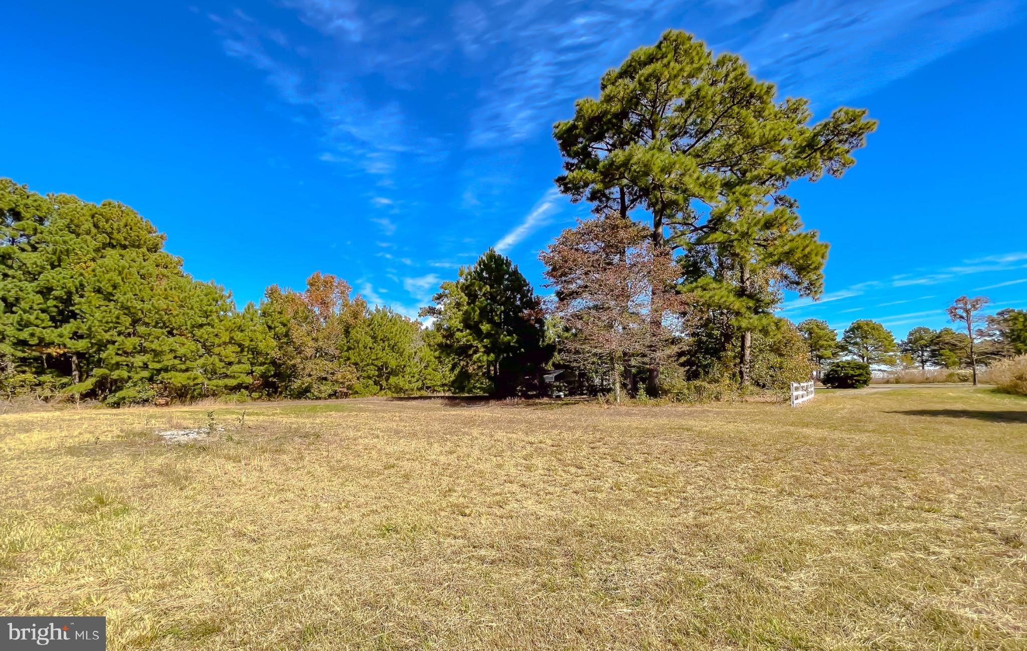 50645 Holly Point Road Dameron, MD 20628 - Photo 68 of 99