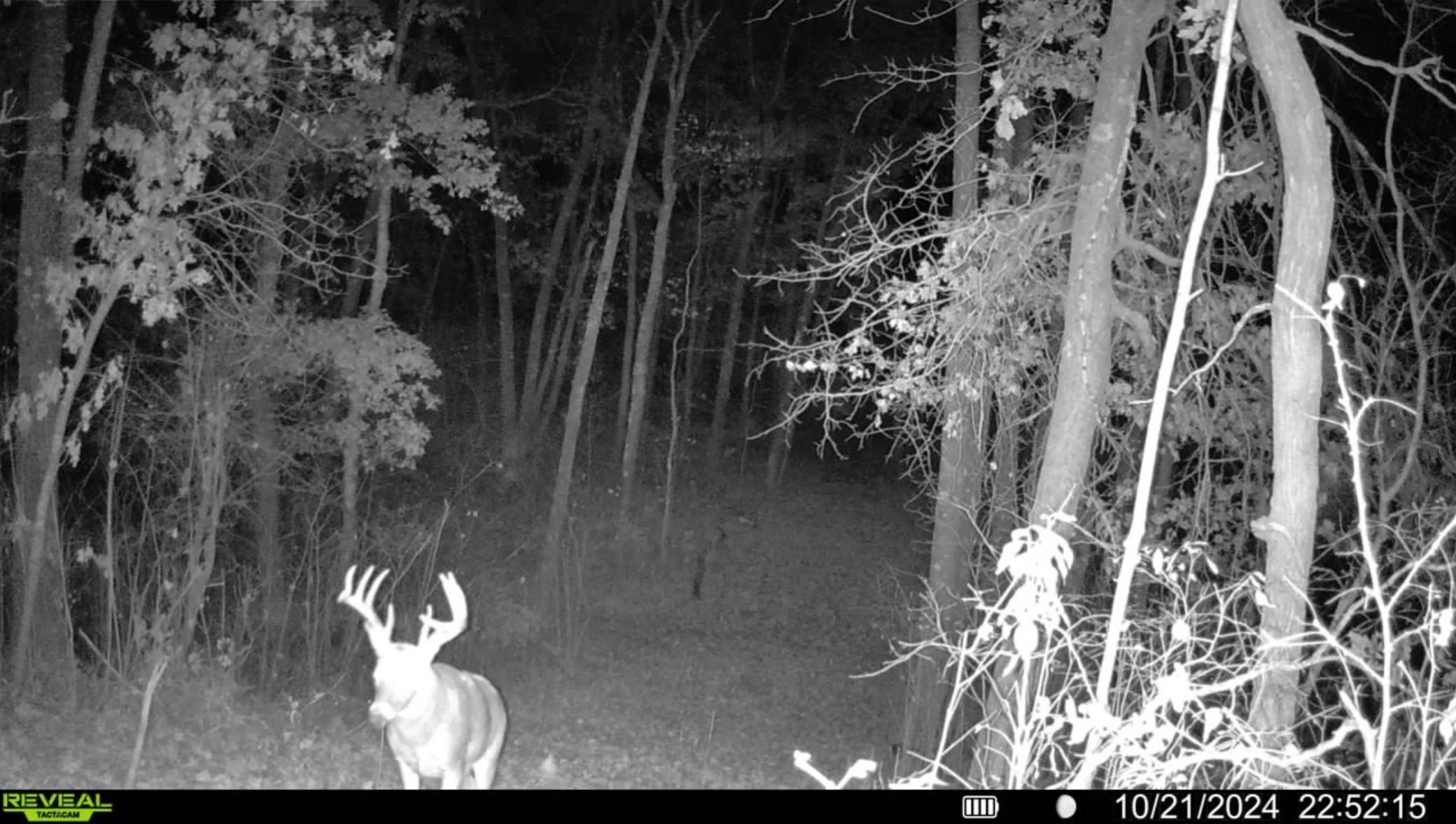 50540 Snow Lake Road Vining, MN 56588 - Photo 89 of 89 Gallery Image 89