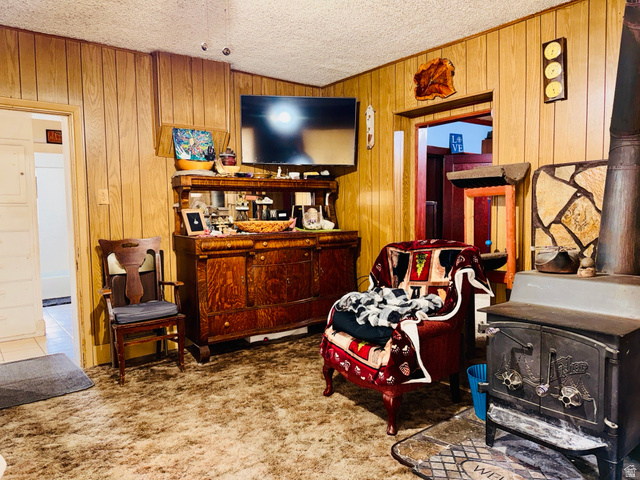 393 West Center Street Springville, UT 84663 - Photo 3 of 17