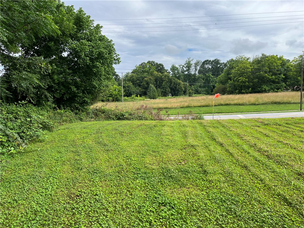 237 East Main Street Pendleton, SC 29670 - Photo 15 of 16 Green pastures and lush trees define this generous and verdant property.