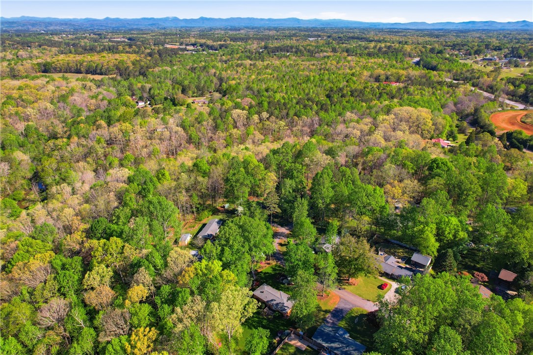 623 West Springwood Drive Seneca, SC 29672 - Photo 32 of 50 This elevated view captures a serene landscape of lush woodlands and residential areas under a clear sky.