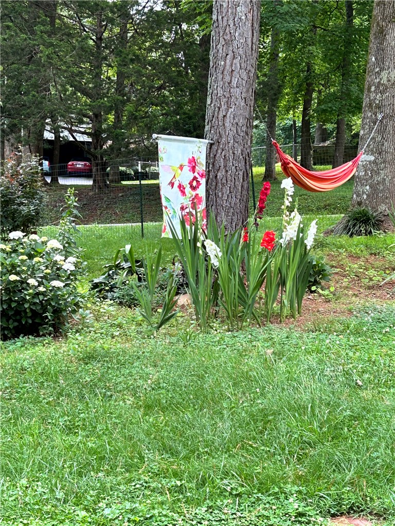 623 West Springwood Drive Seneca, SC 29672 - Photo 40 of 50 This serene outdoor space offers a lush lawn and mature trees, perfect for quiet enjoyment.