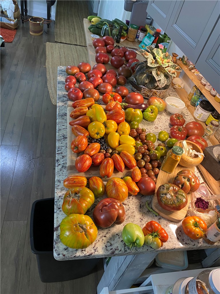 623 West Springwood Drive Seneca, SC 29672 - Photo 44 of 50 This kitchen showcases elegant granite counters, perfect for culinary endeavors and entertaining.