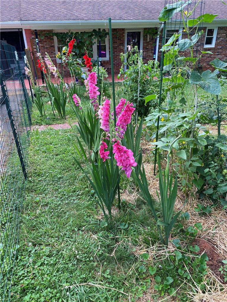 623 West Springwood Drive Seneca, SC 29672 - Photo 48 of 50 This lush garden features vibrant flora set against a charming brick residence.