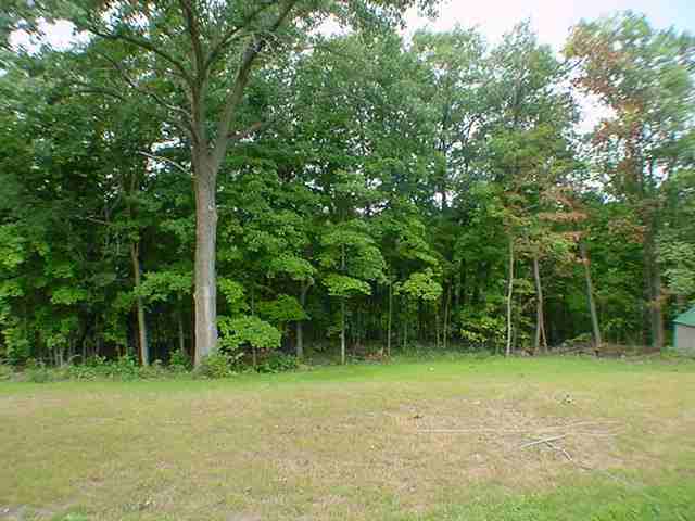 307 Timberlan Road Germantown Hills, IL 61548 - Photo 2 of 9 Gallery Image 2