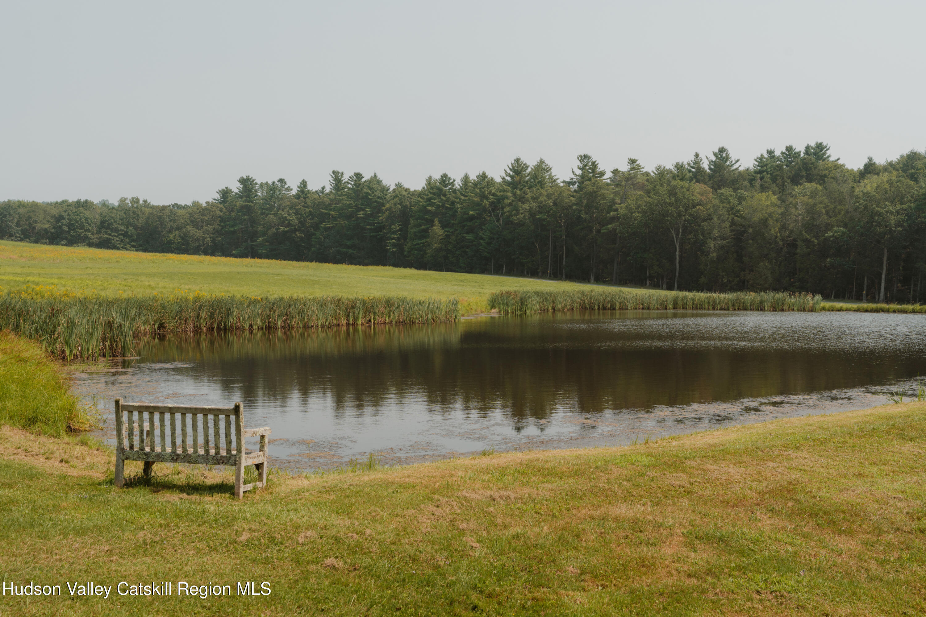 91 Old Hankins Road Callicoon, NY 12723 - Photo 40 of 41 a view of a lake with a mountain in the background