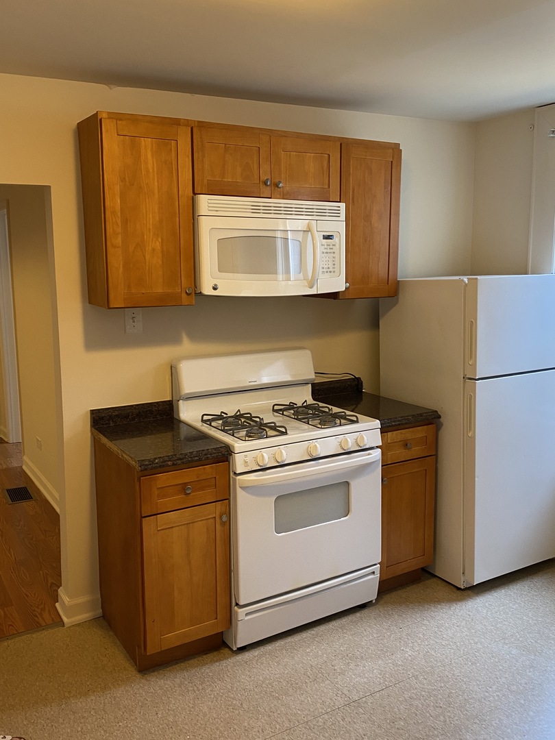 1839 South Racine Avenue Chicago, IL 60608 - Photo 24 of 26 Gallery Image 24