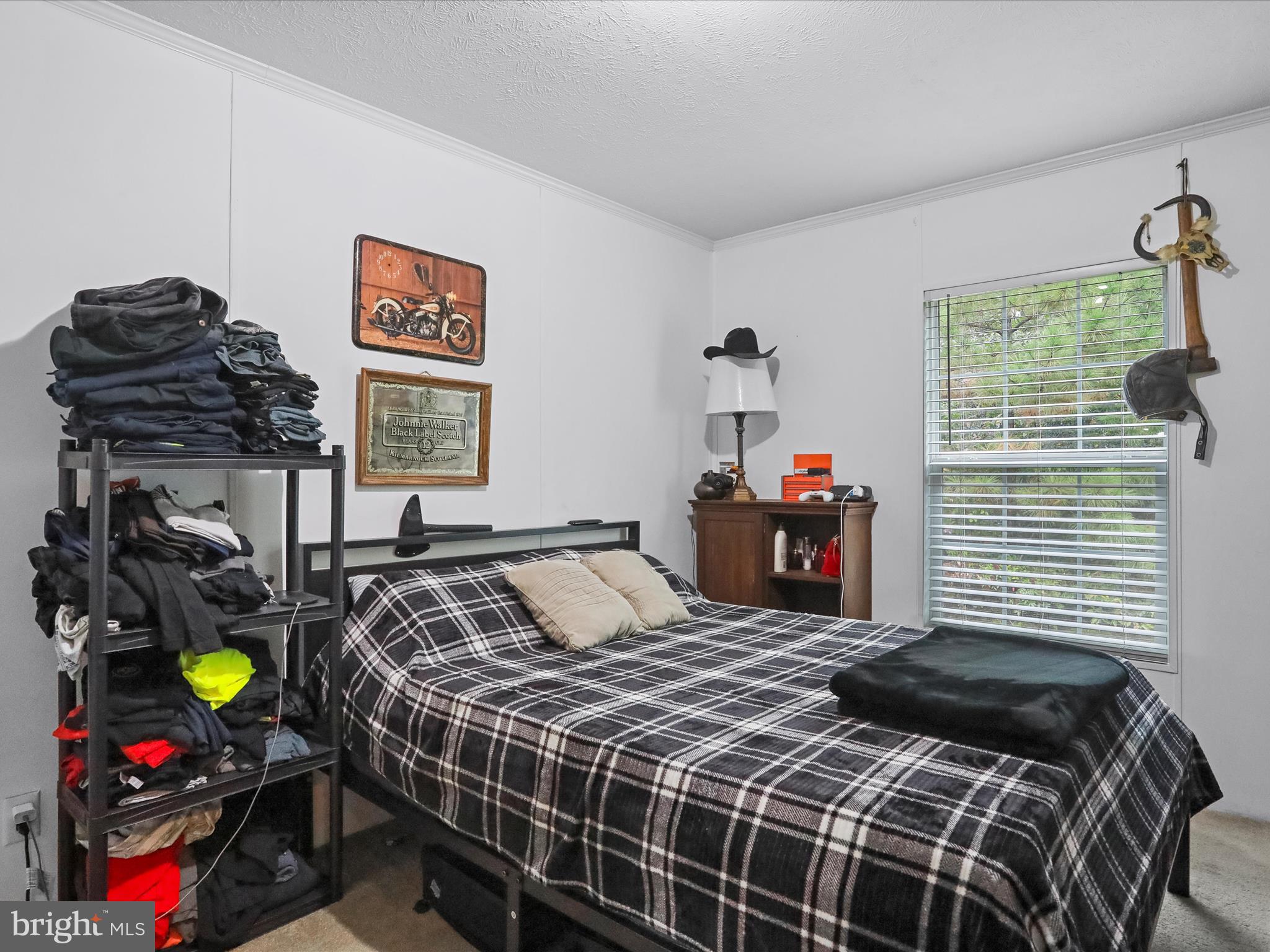 32257 Indiantown Road Locust Grove, VA 22508 - Photo 21 of 38