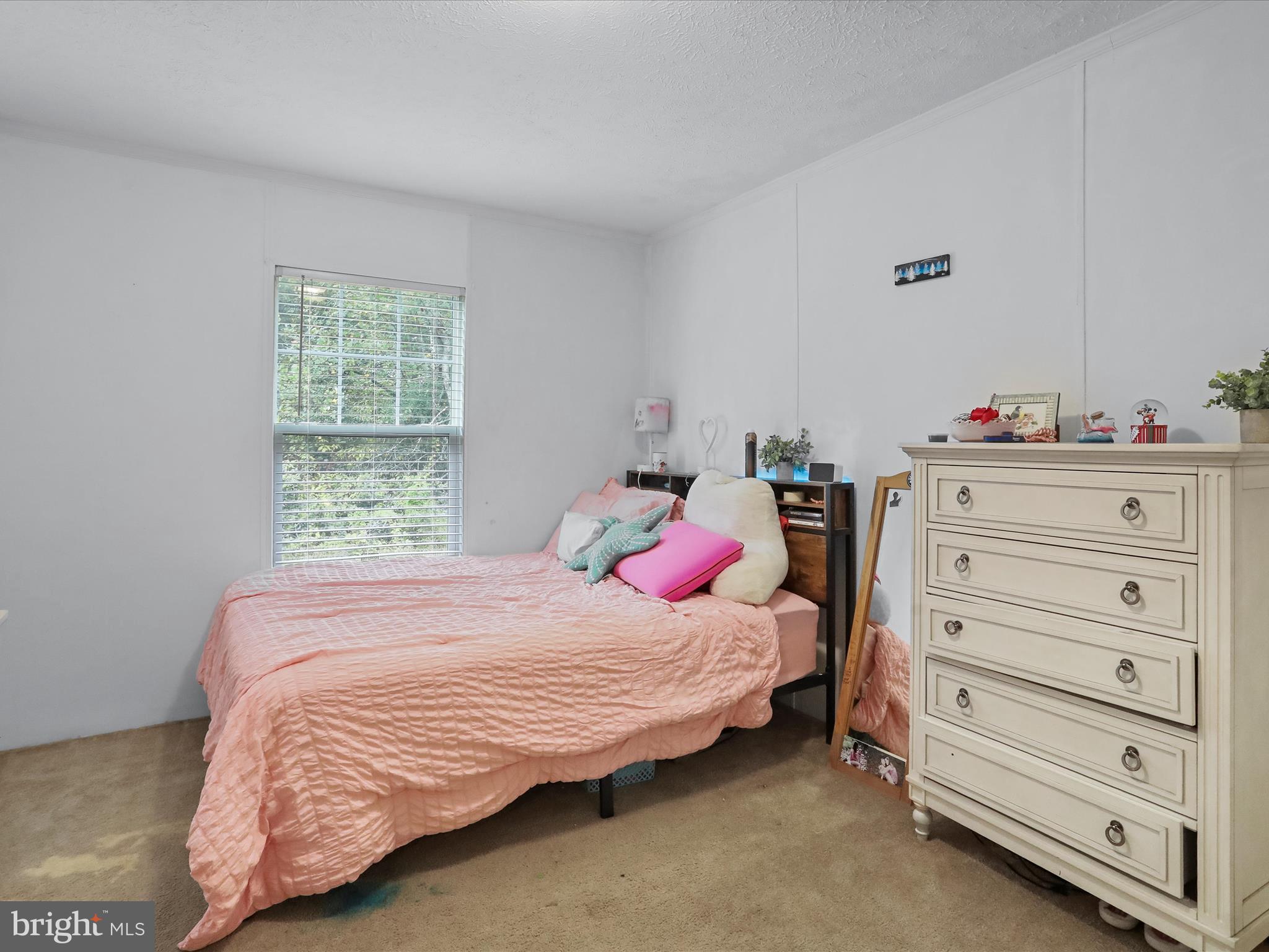 32257 Indiantown Road Locust Grove, VA 22508 - Photo 22 of 38