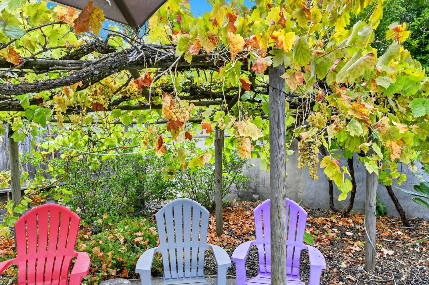 5343 Maui Way Fair Oaks, CA 95628 - Photo 37 of 40