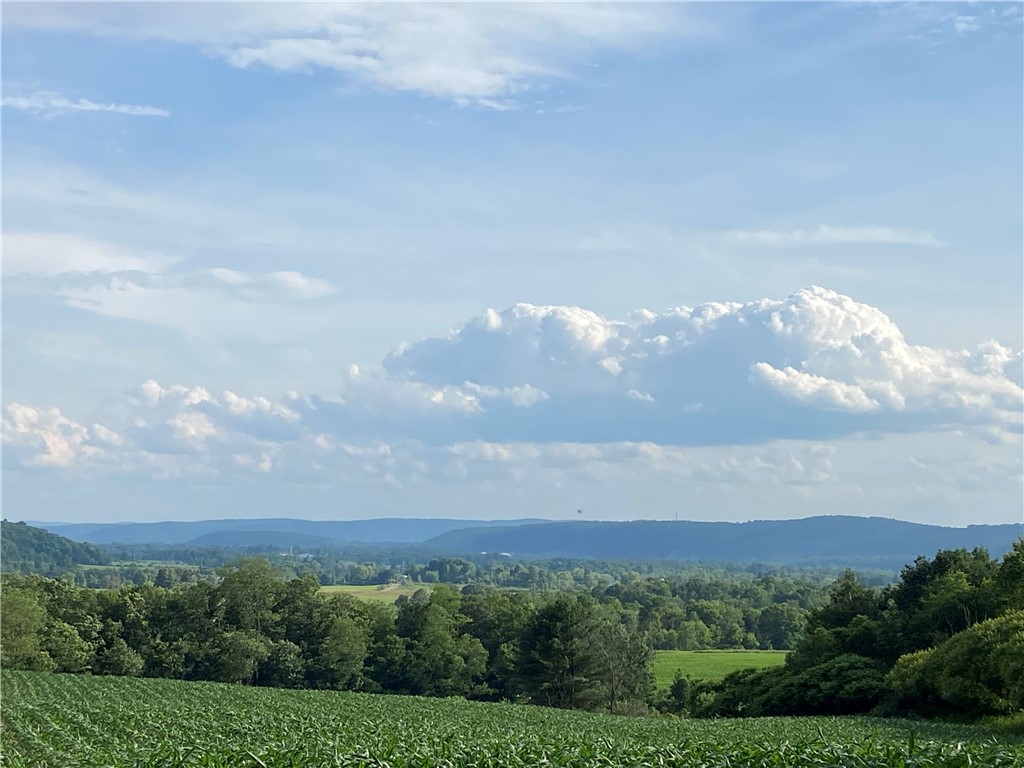 View of the Valley from the cleared building site!