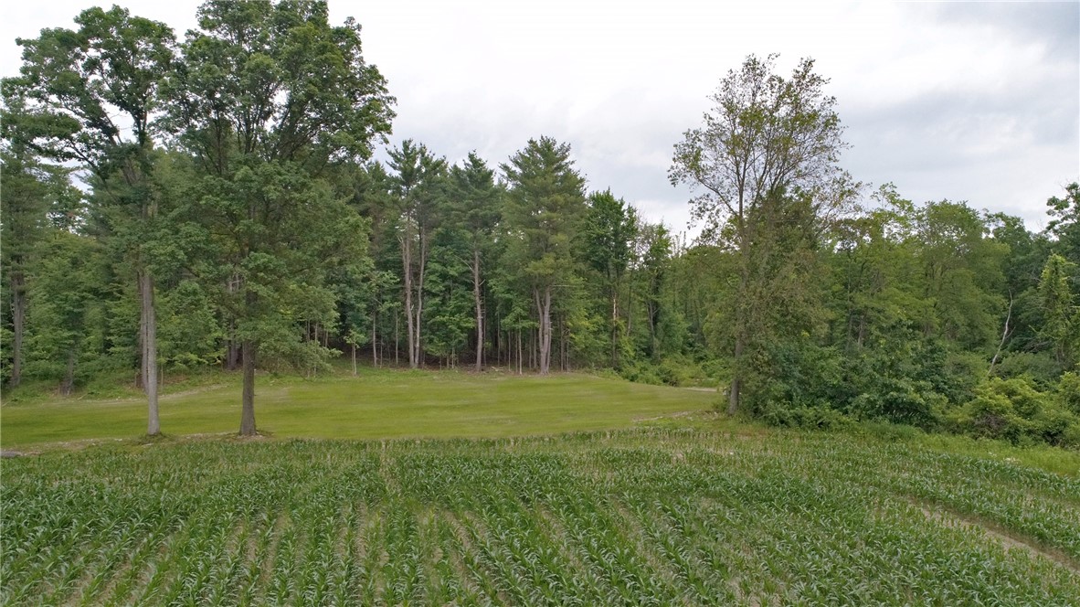 1229 B Middle Road Veteran, NY 14864 - Photo 14 of 20 Drone view of the build site from the South