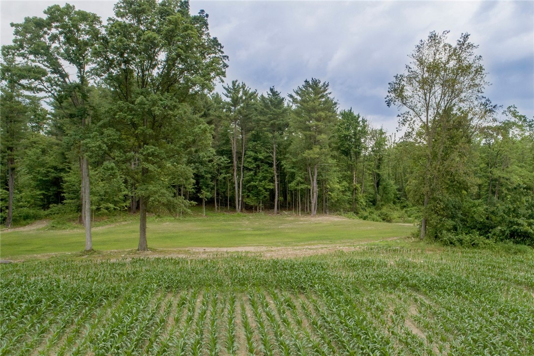 1229 B Middle Road Veteran, NY 14864 - Photo 15 of 20 Another View of the building site!
