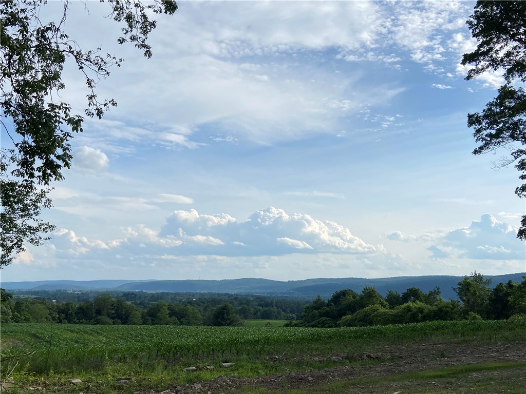 1229 B Middle Road Veteran, NY 14864 - Photo 20 of 20 HOME SWEET HOME!