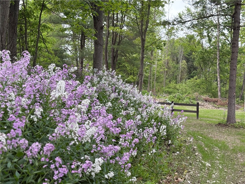 1229 B Middle Road Veteran, NY 14864 - Photo 4 of 20 Entrance