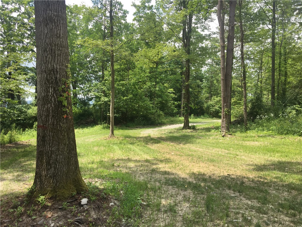 1229 B Middle Road Veteran, NY 14864 - Photo 5 of 20 Seller has cut the entrace & drive way in!