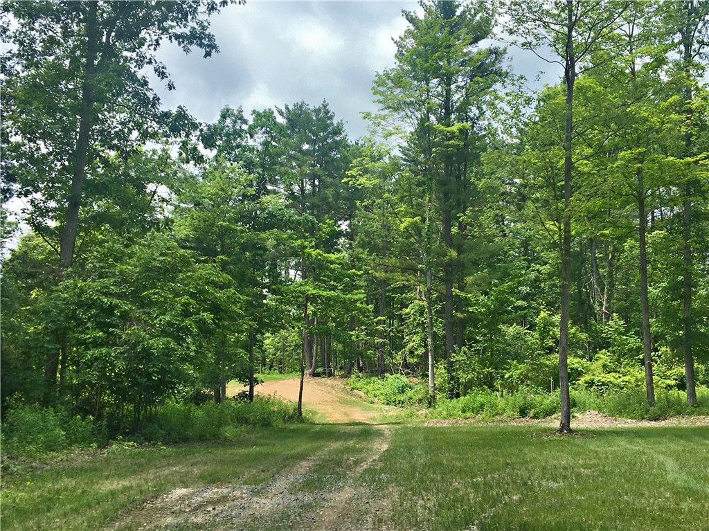 1229 B Middle Road Veteran, NY 14864 - Photo 6 of 20