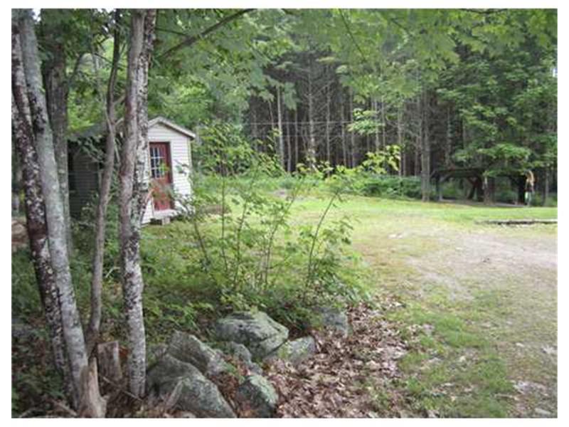 17 Steen Road Arrowsic, ME 04530 - Photo 11 of 22 Yard/Garden.