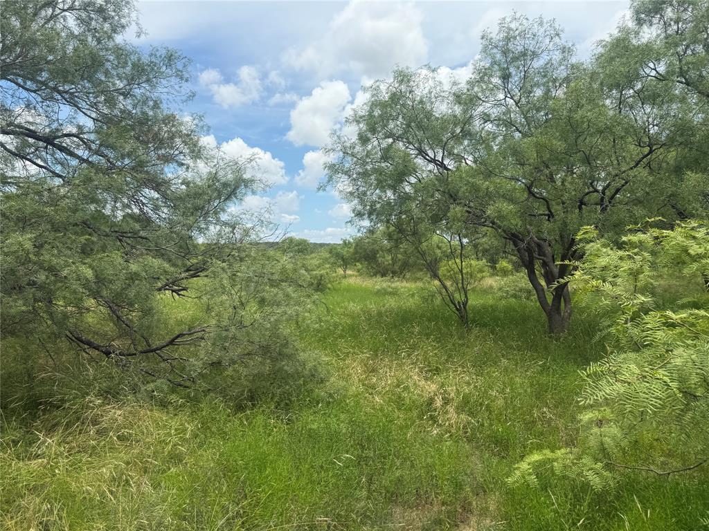 Tbd Coppic Ranch Road Brownwood, TX 76801 - Photo 7 of 13