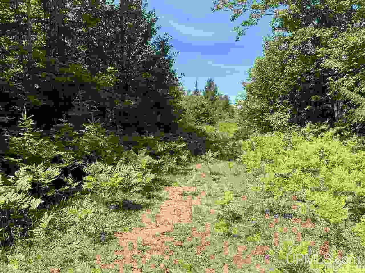 Tbd Off Cooks Lake Road, Unit 1 Wetmore, MI 49895 - Photo 7 of 19
